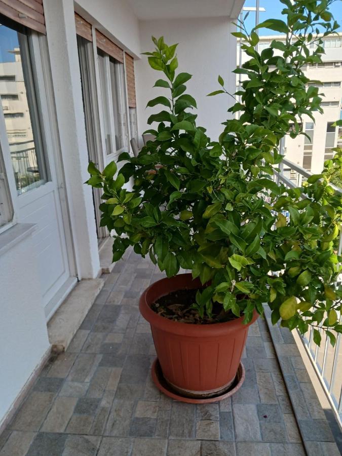 Room With Private Toilet And Balcony In City Center In Shared Apartment Spalato Esterno foto